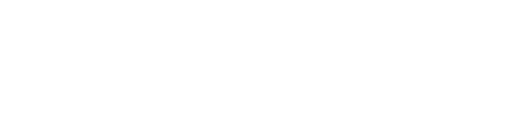Panini